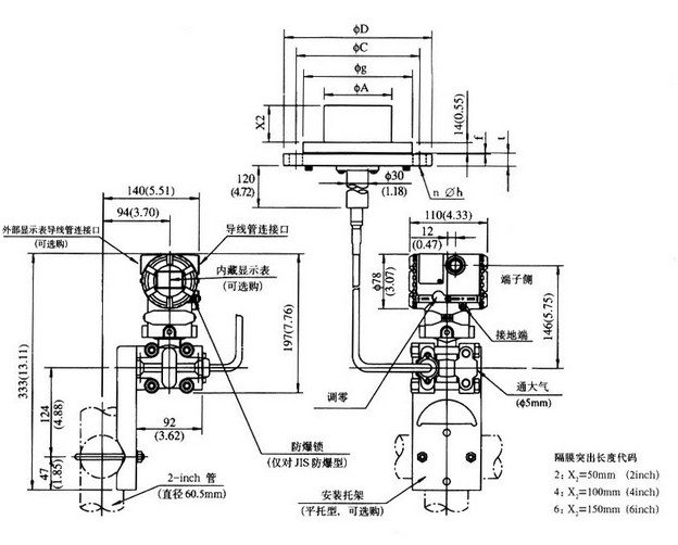 隔膜密封式压力变送器